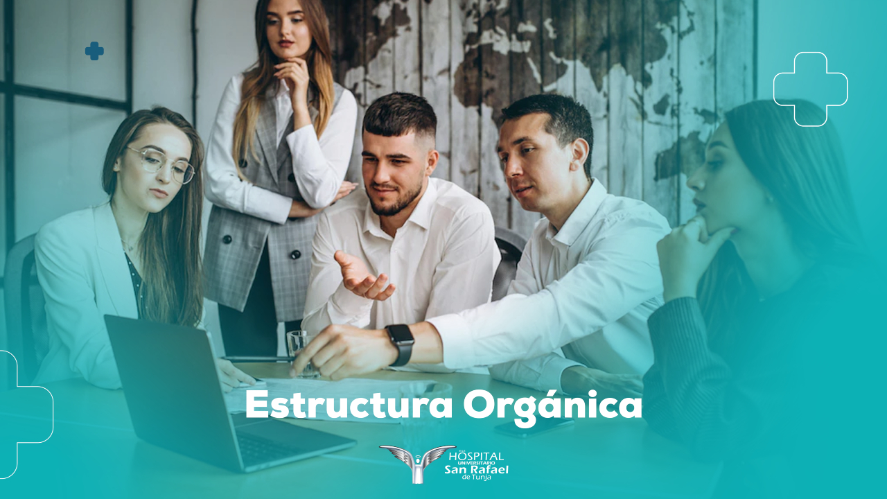 Estructura Orgánica -Organigrama